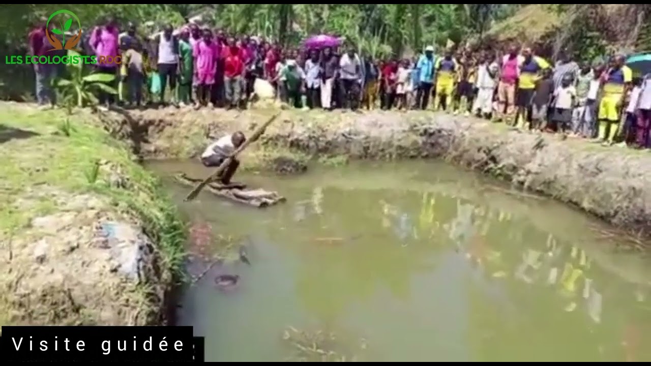 Village Écologique de WALIKALE ! 