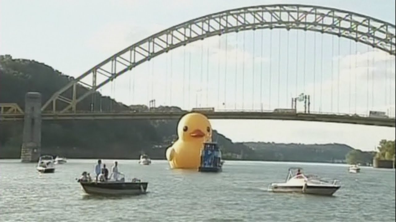 Giant rubber duck finally makes it to America