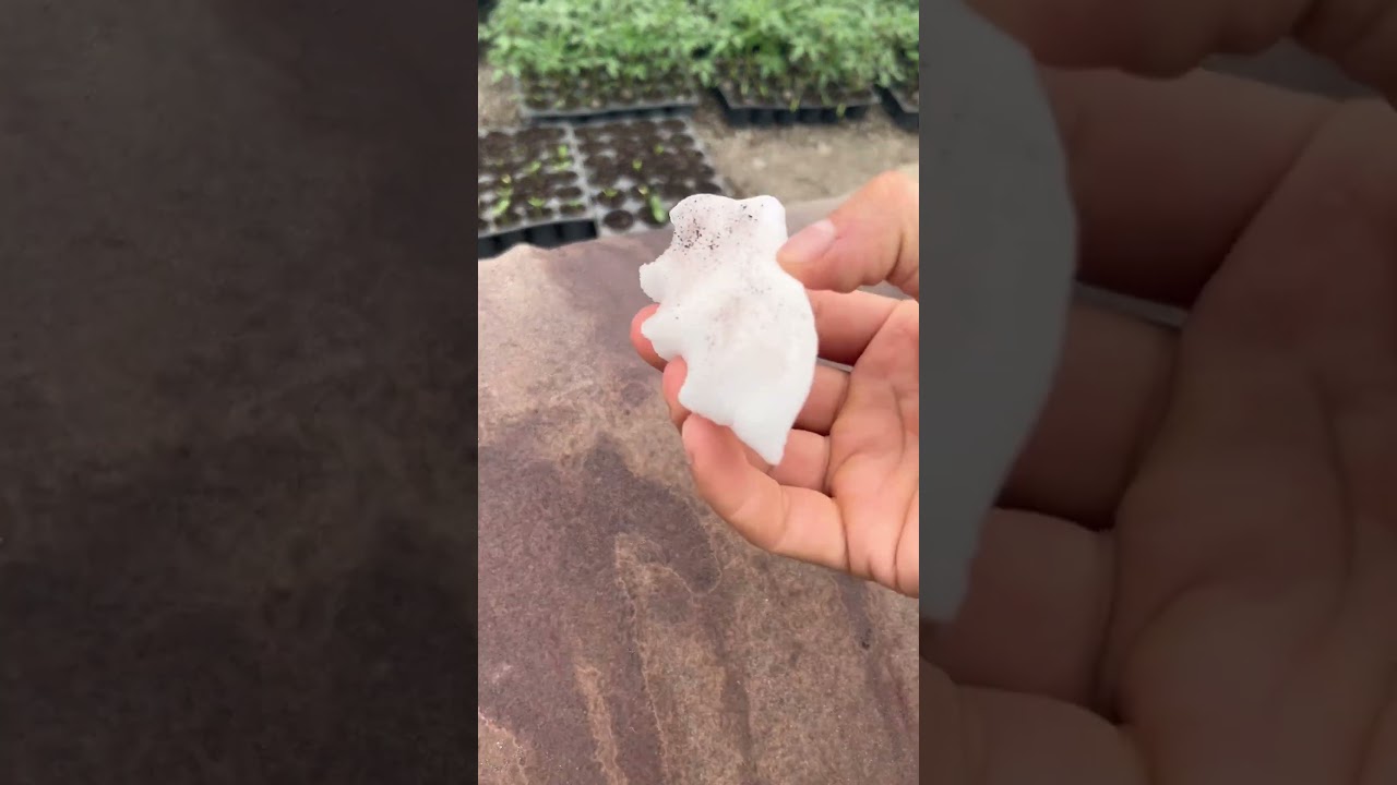 Snow Melt Experiment. #asmr #experiment #experimentvideo #snow #melting