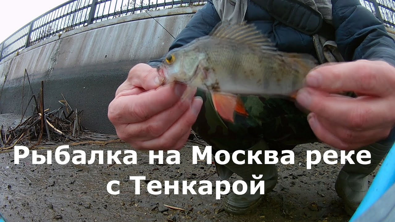 Рыбалка на Москва реке с Тенкарой