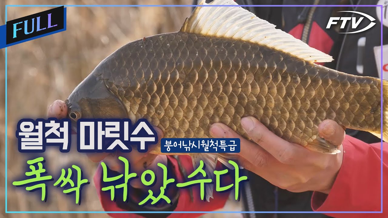 [Full]월척이 막 나온다! 충주 소류지 붕어낚시[붕어낚시월척특급/880회]