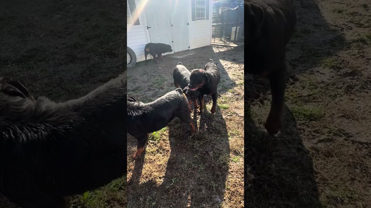  You ain’t seen nothing yet GKR