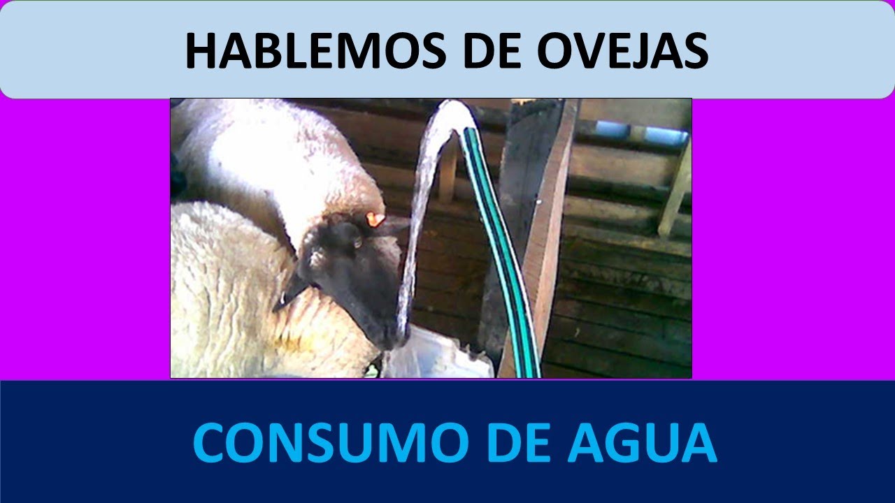 13- CONSUMO DE AGUA