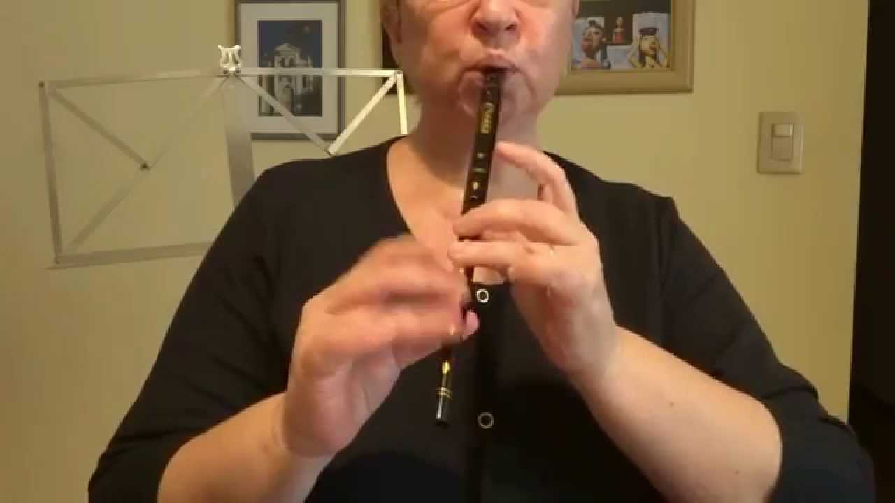 Clarke Original D Tinwhistle - `The Fairies´ Hornpipe´