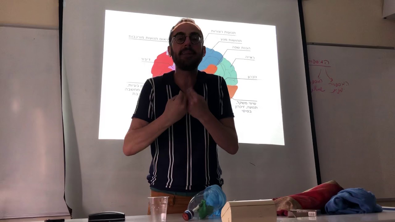 מערכת העצבים שיעור 6