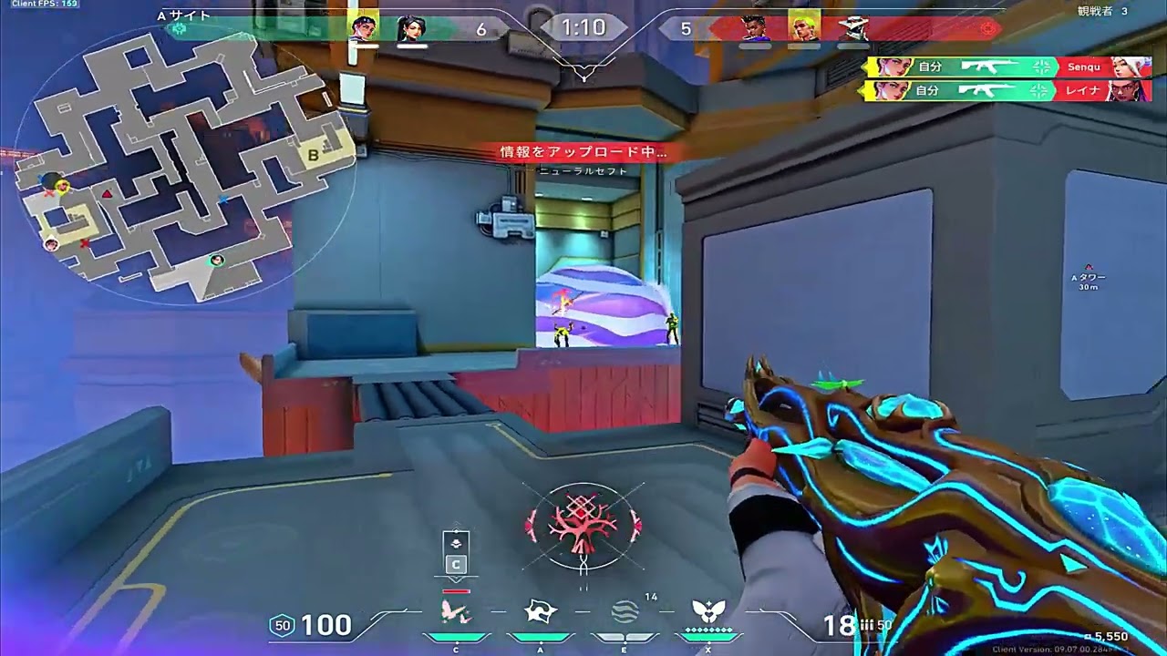 rzx aim