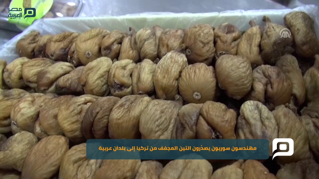 مصر العربية | مهندسون سوريون يصدّرون التين المجفف من تركيا إلى بلدان عربية