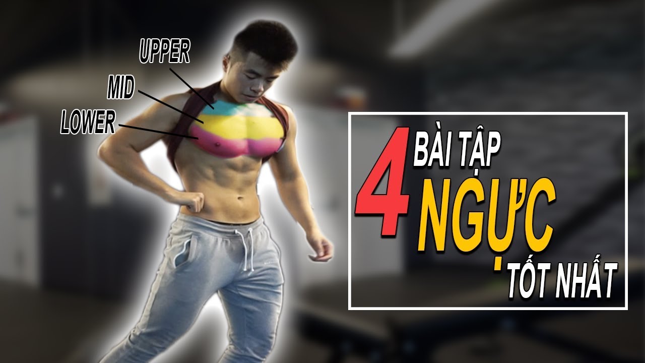 4 BÀI TẬP NGỰC TỐT NHẤT ĐỂ TẠO MỘT PHẦN NGỰC TOÀN DIỆN