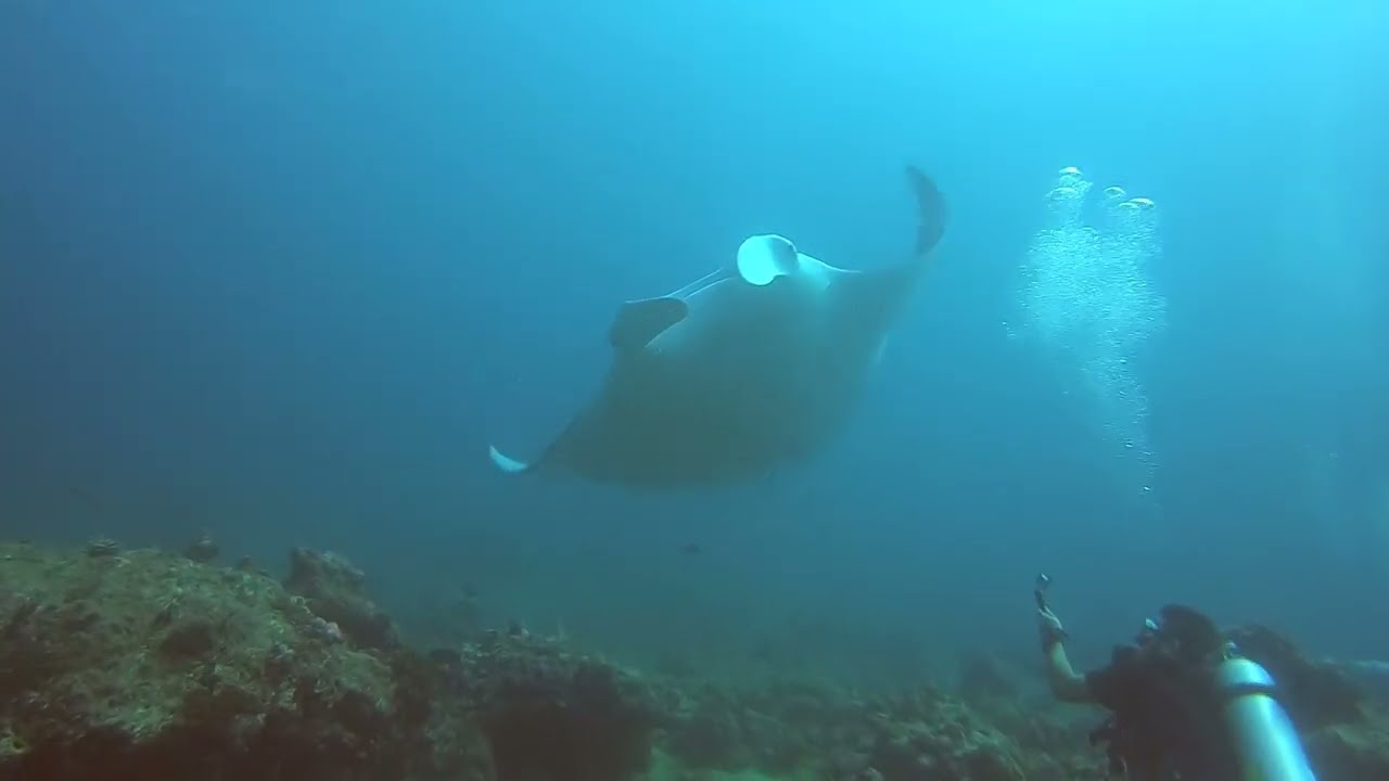 Raa Atoll (Dhigali Maldives)