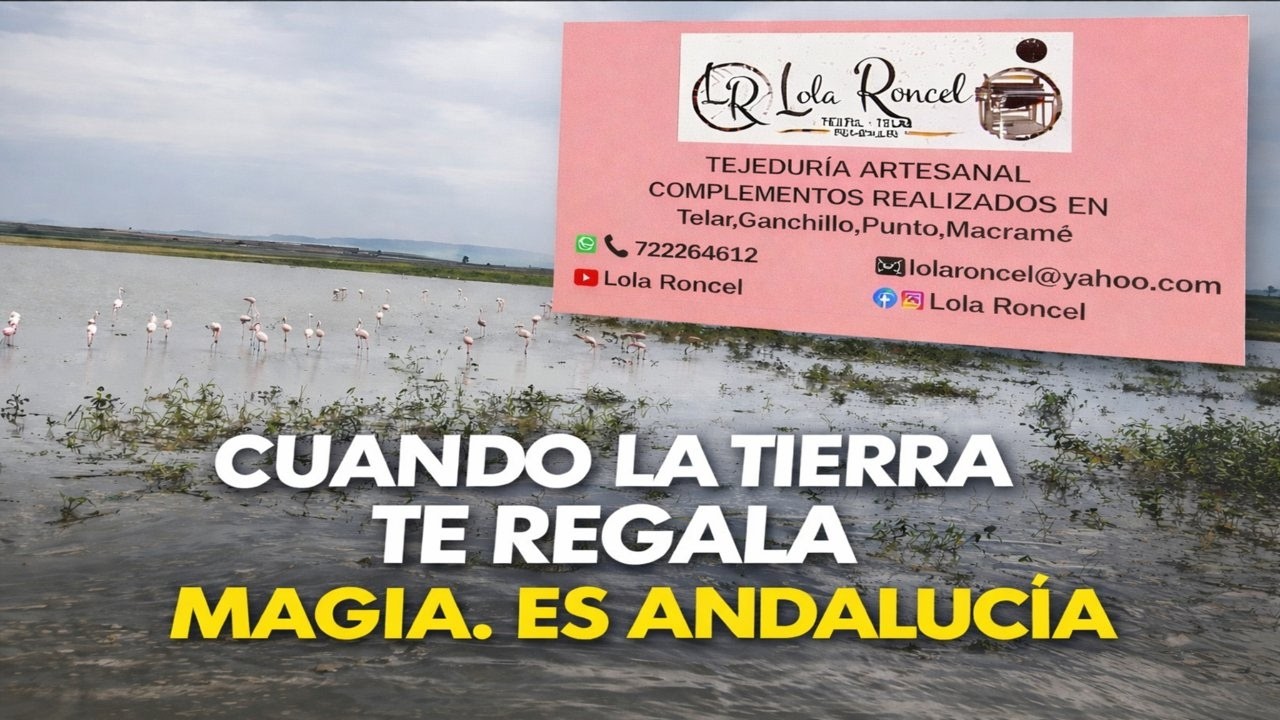 Cuando la Tierra te regala Magia 🦩Es Andalucía 🦩FLAMENCOS en Marchena🦩💃🏽🦩Escucha su música 🎶 🦩💃🏽🦩🎶