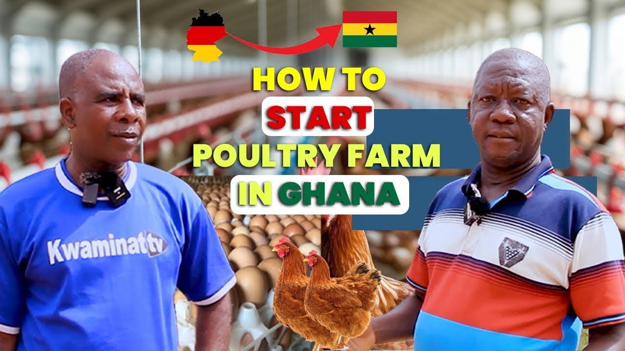 How to Start Poultry Farming In Ghana