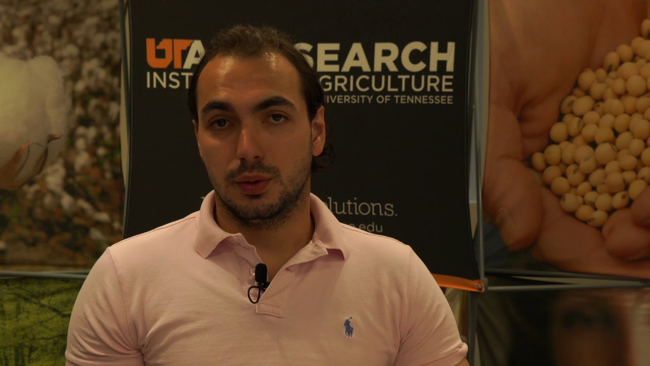 Keeping Fungicide Resistance in Check