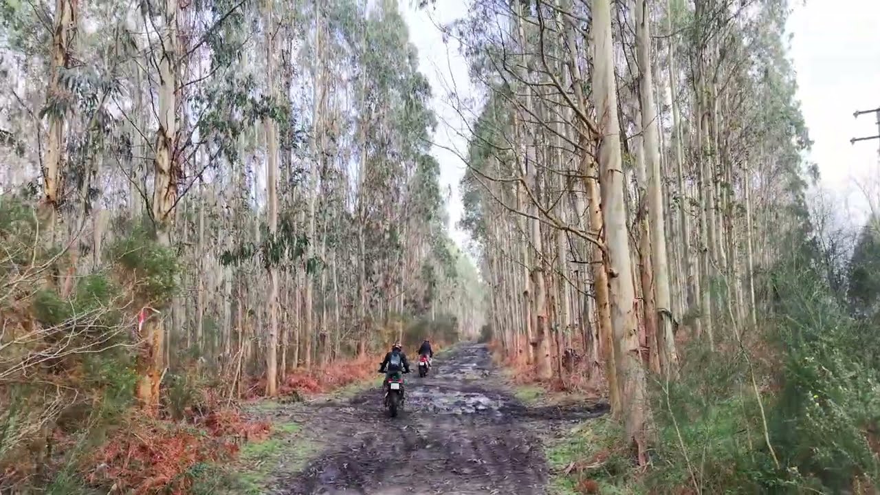 BMW 900GS y KTM 890 Adventure R