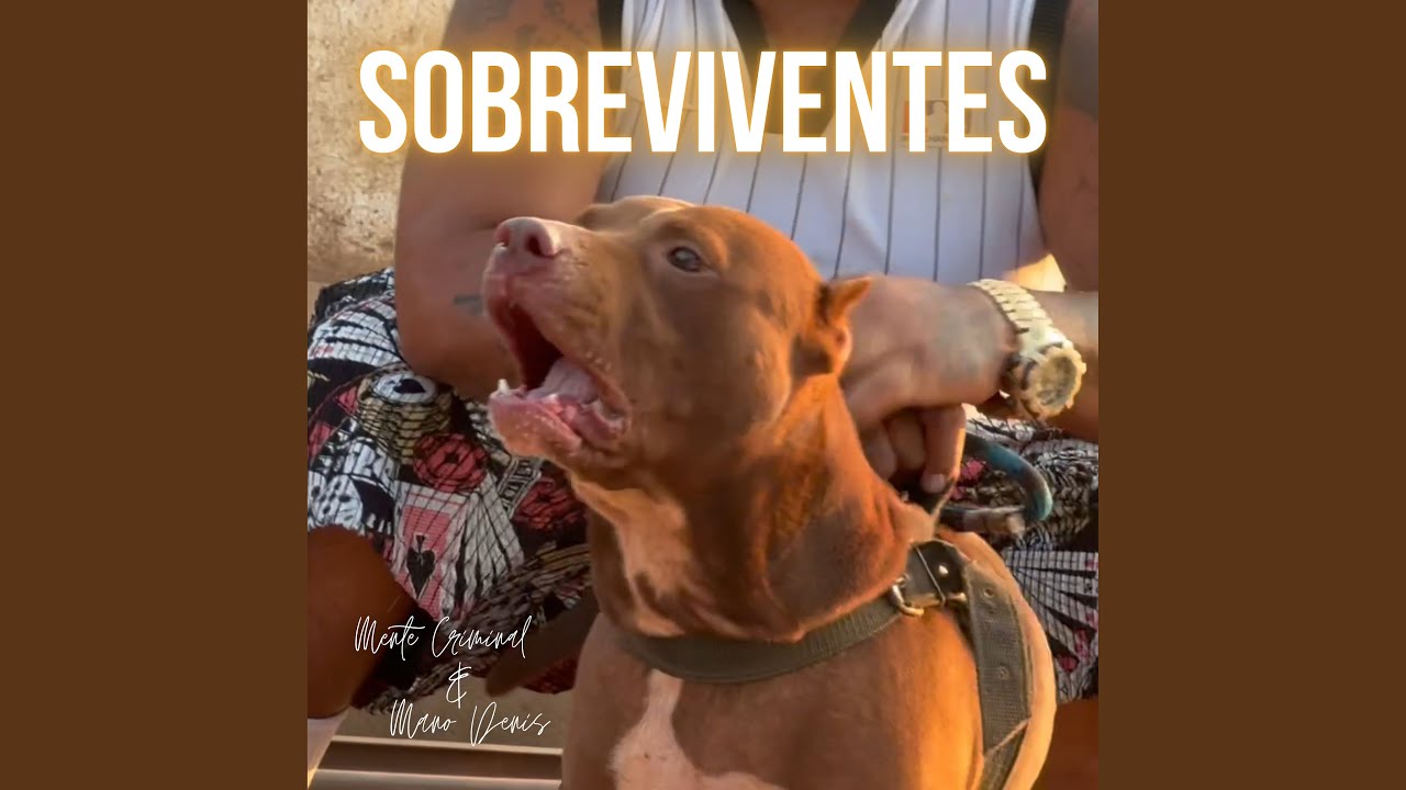 Sobreviventes