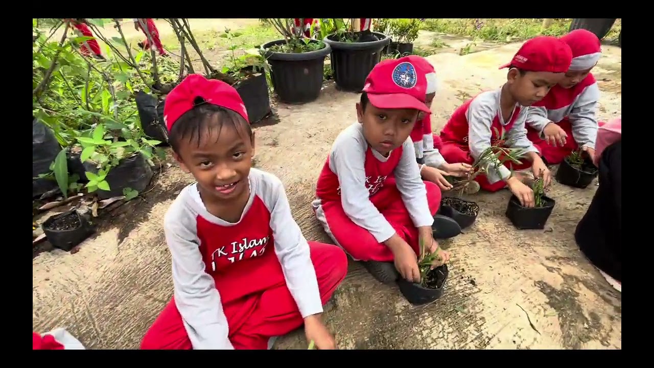 TK ISLAM AL HADI BERKUNJUNG KE THREE B GARDEN EDUKASI PEMBELAJARAN BERCOCOK TANAM