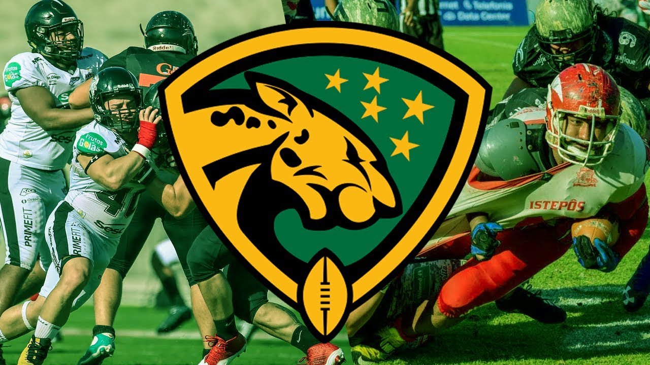 Como Funciona a Liga Nacional de Futebol Americano