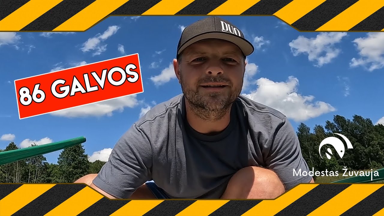 86 galvos
