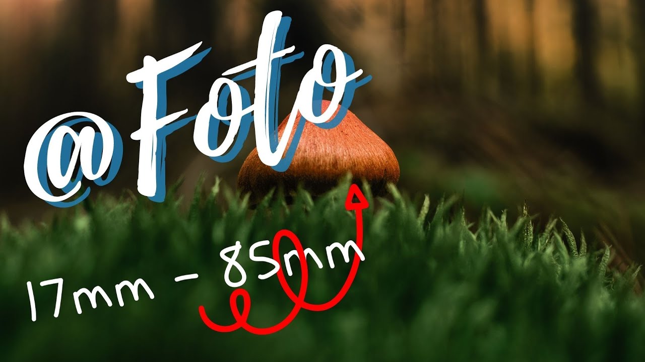@foto Tomek Lacky  Makro na szeroko? Jaki obiektyw do fotografowania grzybów?