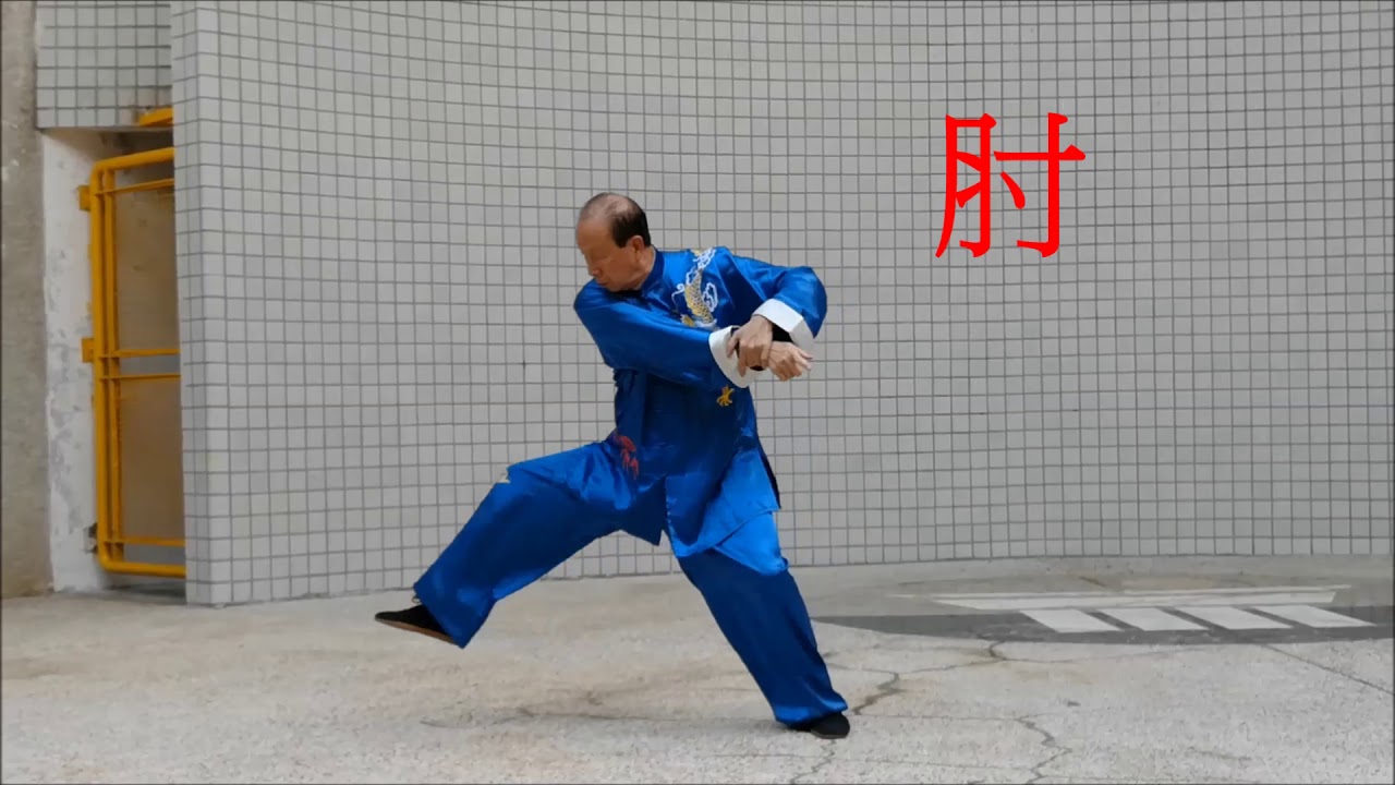陸長青陳式太極拳十三势有字幕詳解