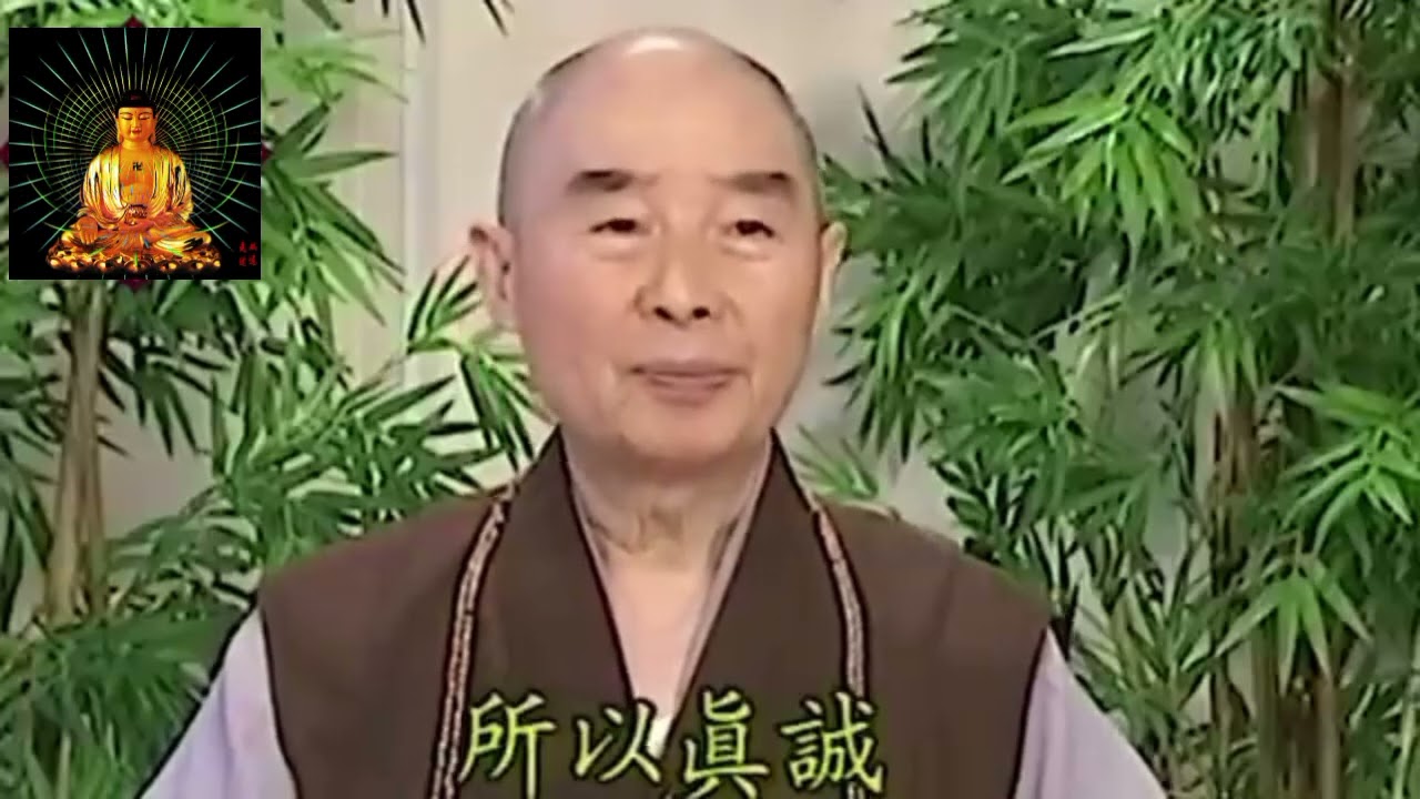 Quả Báo Của Người Thường Hãm Hại Người Thiện/Pháp sư Tịnh Không 