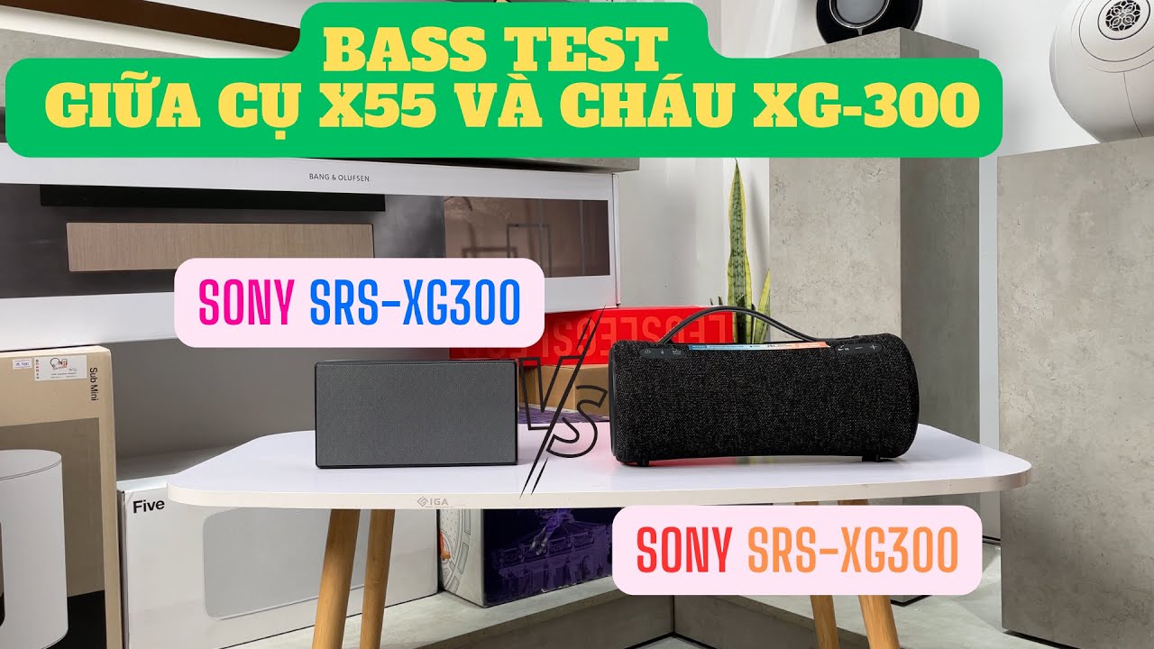 So sánh Sony SRS - XG300  vs Sony SRS-X55: đã vừa hay lại còn vừa đẹp! Ai sẽ đáng từng xu ???