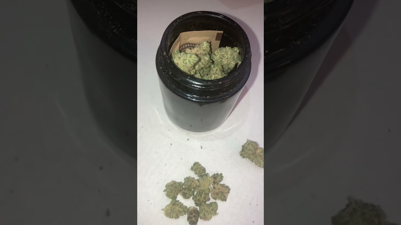 MAC V2 strane strain review some Dry Dry Smalls for you from the Pennsylvania Medical Marijuana Prog