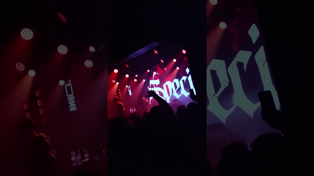 Specii - Diagnoza live