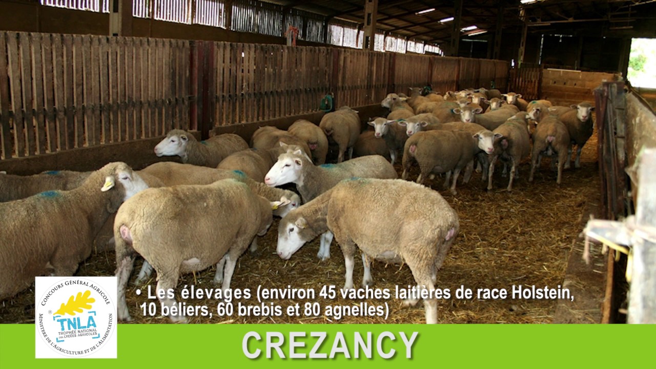 TNLA 2017 Crezancy