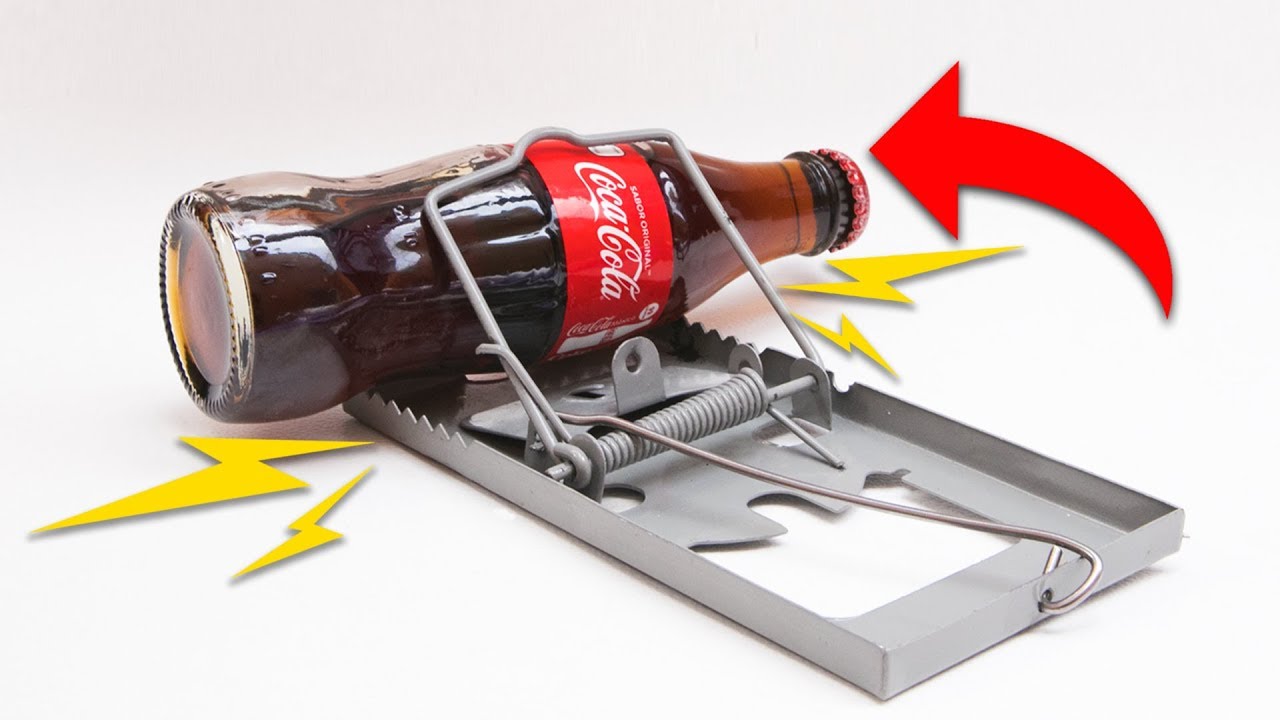 MOUSETRAP VS BOTTLE | POLINESIO  CHALLENGE | LOS POLINESIOS