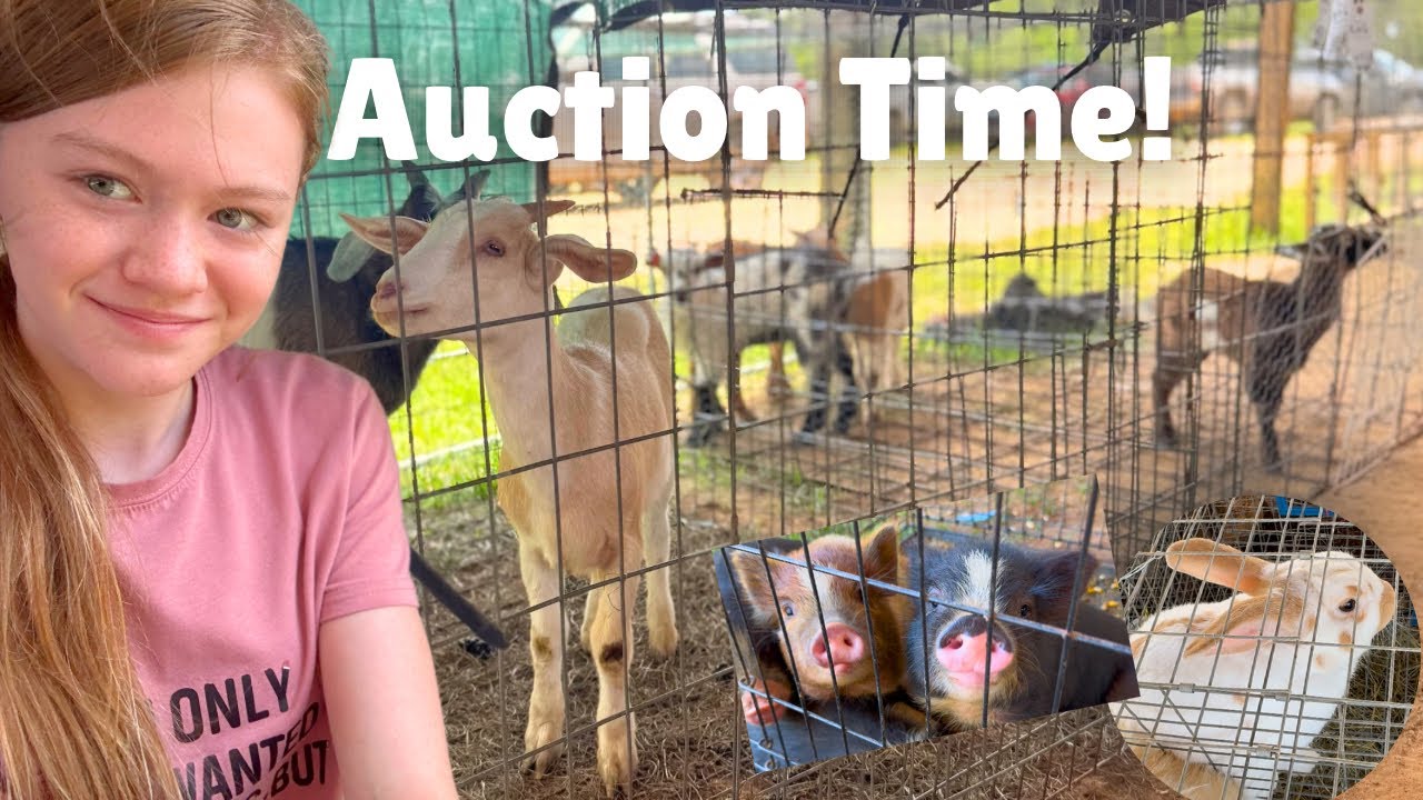 Did we bid?! There were SO many Animals at this auction!