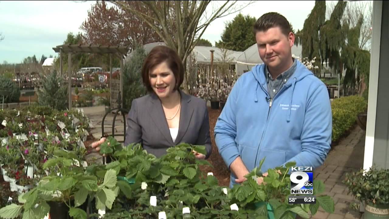 In the Garden: Growing strawberries in Oregon