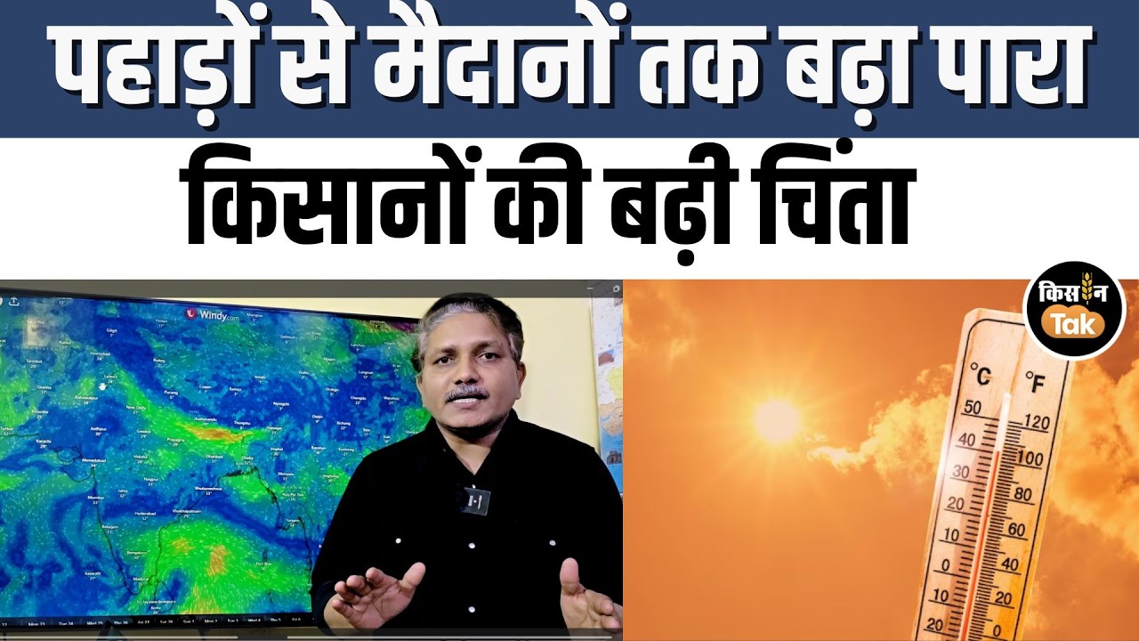 Weather Update: दक्षिण भारत में बारिश का अलर्ट, 26 फरवरी तक इन राज्यों में बरसेंगे बादल