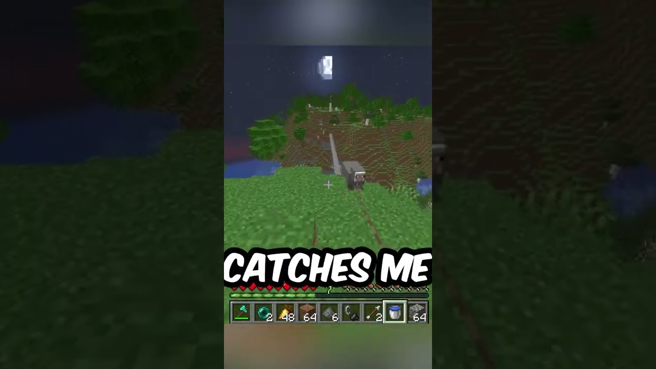 I Stole my Friends Pet Sheep 