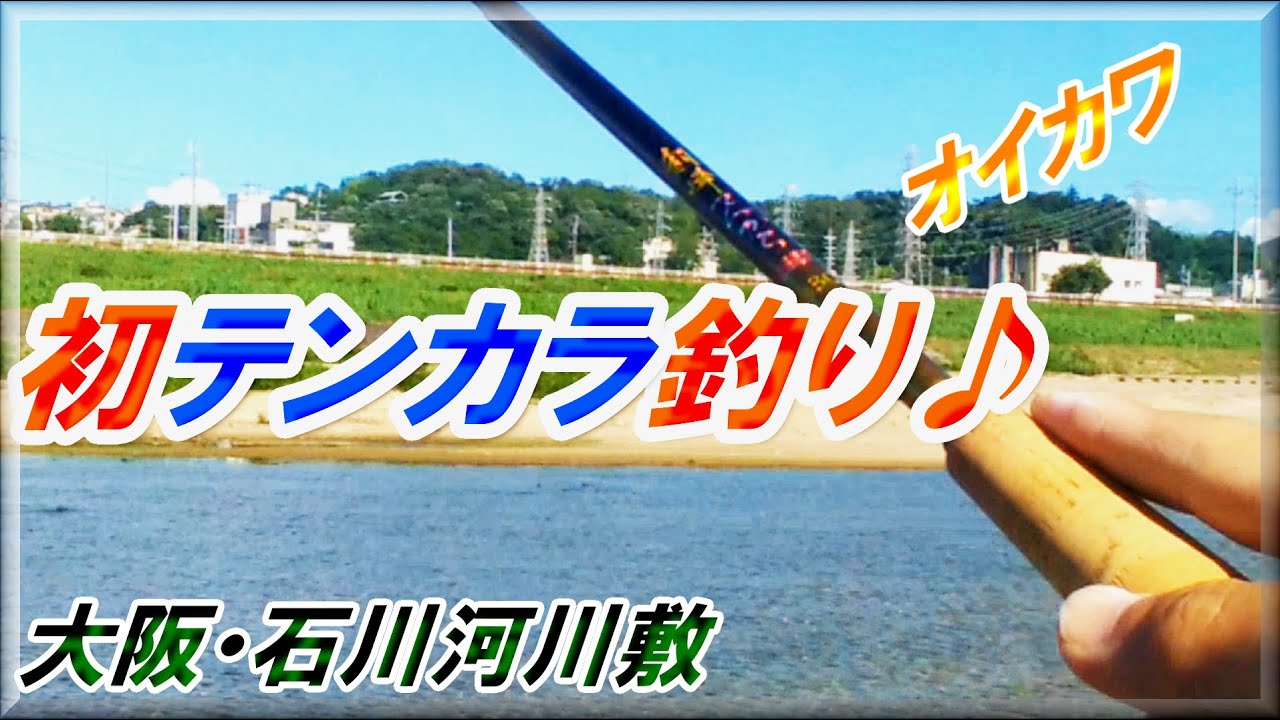 【テンカラ　初心者　オイカワ】人生初テンカラ・トップが熱い！？思うように行かない・・・オイカワ　フライフィッシング・毛鉤・大阪  釣り・釣り　初心者・グルテンなら簡単に釣れる(^^;)