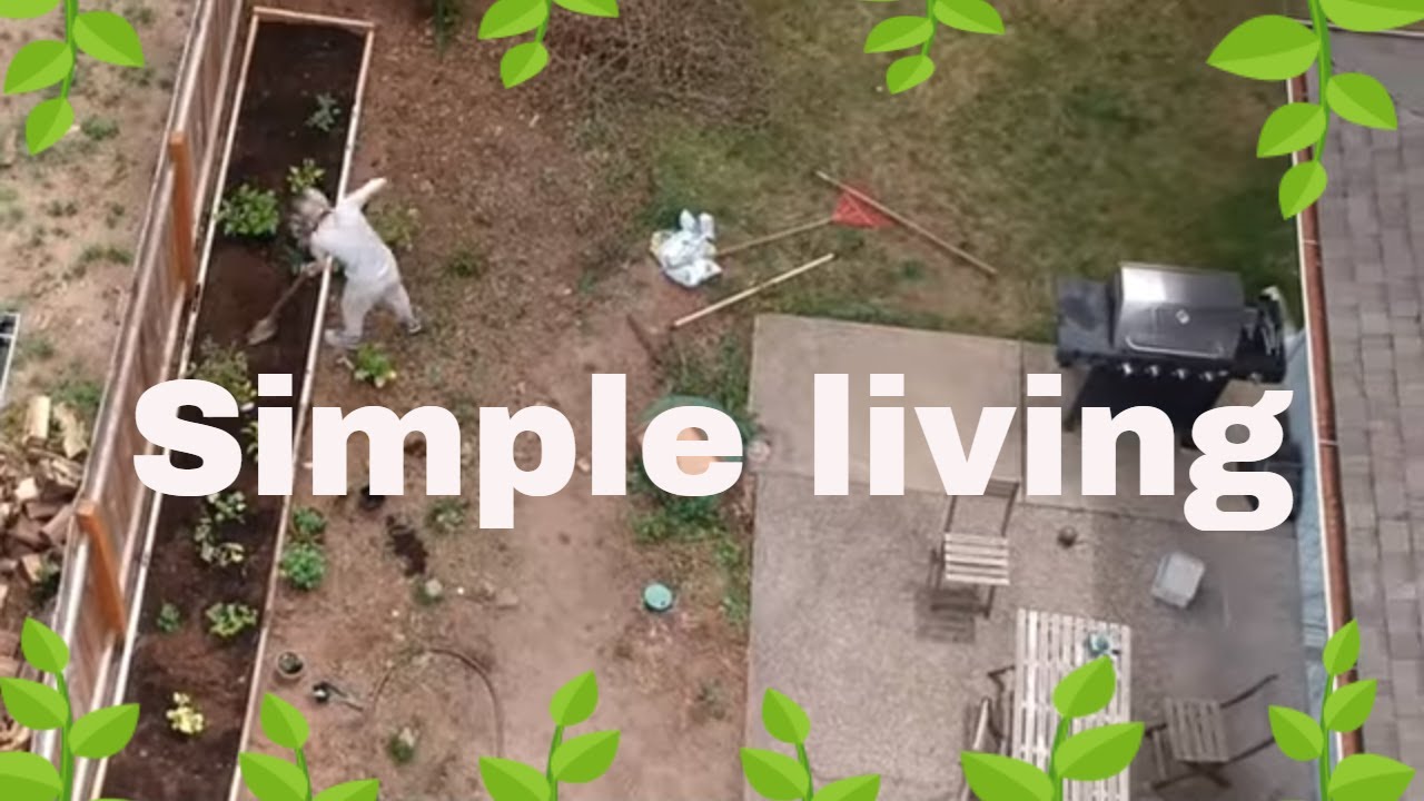 Yard project - Minimalist family -Simple living