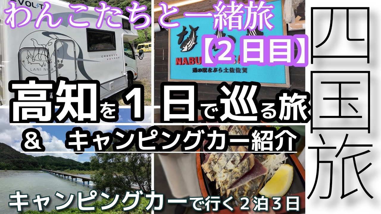 わんこたちとキャンピングカーで行く四国旅【２日目】　高知県を１日で観光！美味しいカツオもご紹介！！　#旅   #旅行   #わんこ  #キャンピングカー　#四国