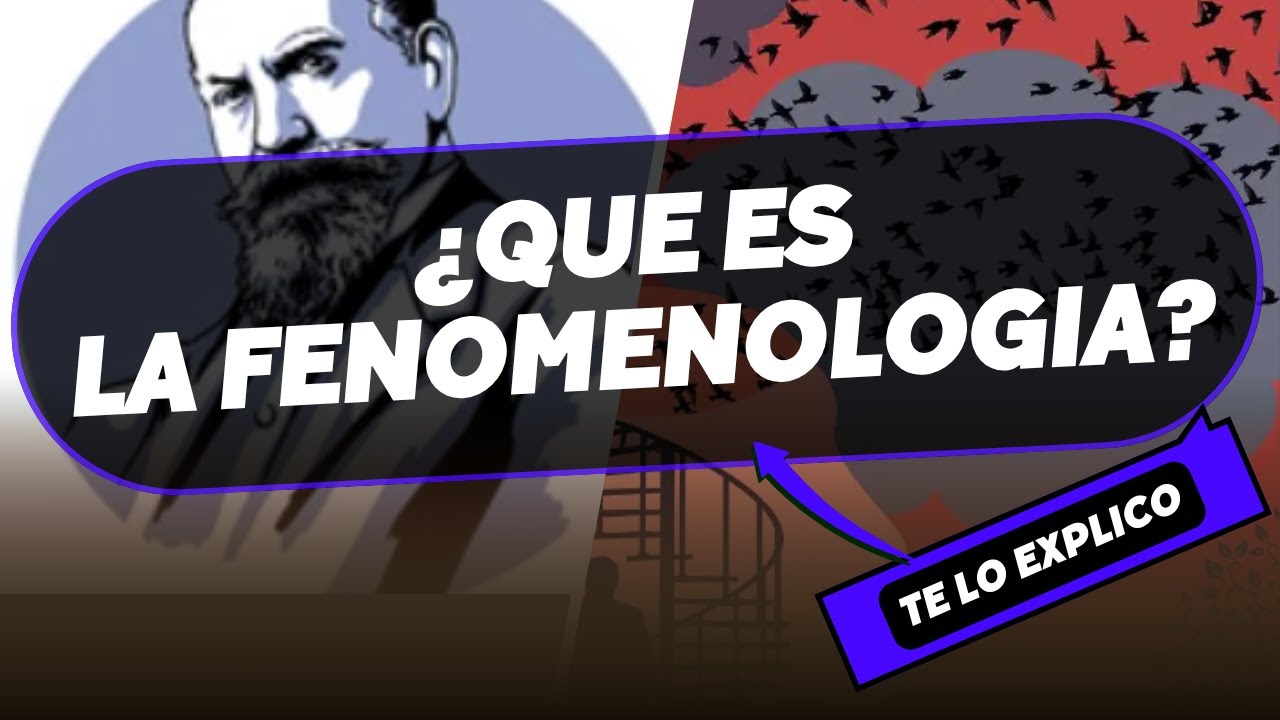 ¿QUE ES LA FENOMENOLOGIA? explicacion facil