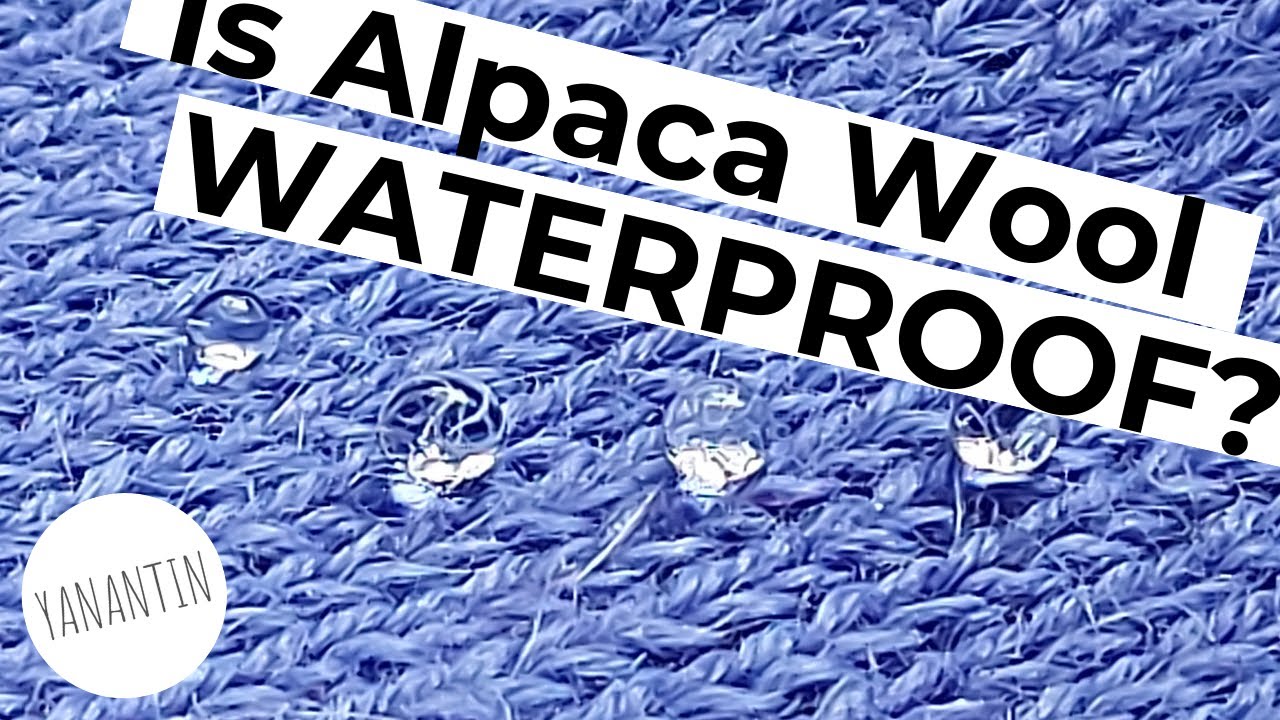 Is Alpaca Wool Water Resistant?!