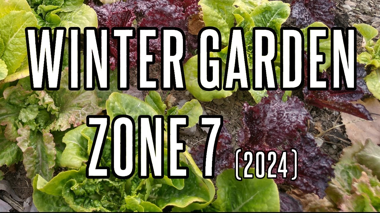 8 Winter Garden Crops I Grow in Utah Zone 7