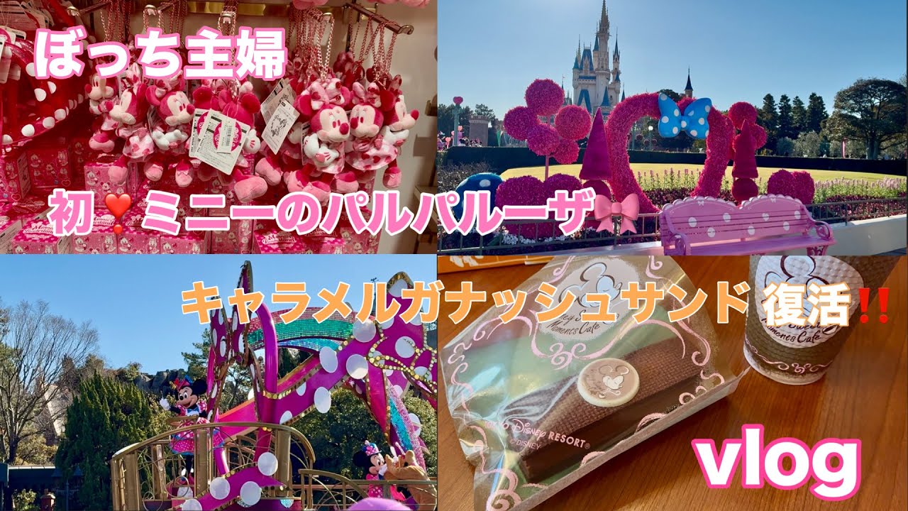 【2026】ぼっち主婦 ディズニー/ ミニーちゃんのパルパルーザで運が良すぎた日🎀✨