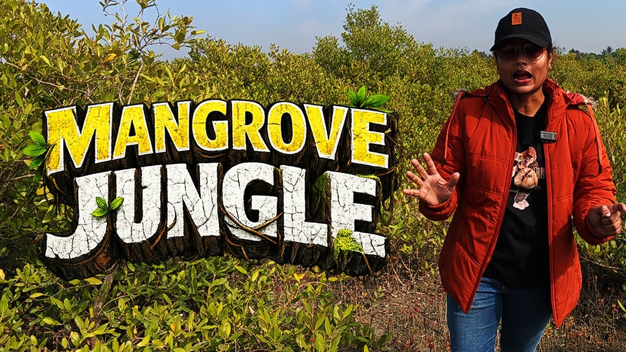 Inside Sundarban Mangrove Forest 🌿 | Land of Royal Bengal Tigers