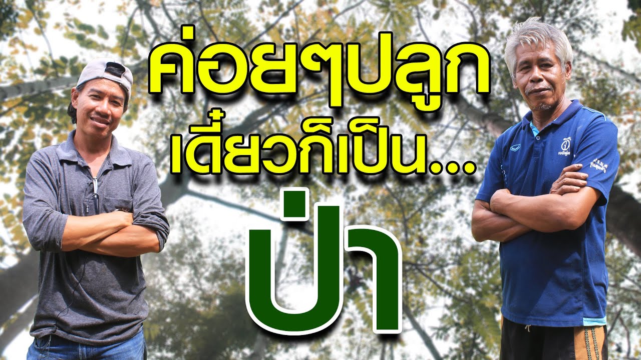 มีกล้าไม้เยอะ ปลูกไม่ทันปีนี้ทำอย่างไรดี ? | คนรักษ์ป่า ep 101
