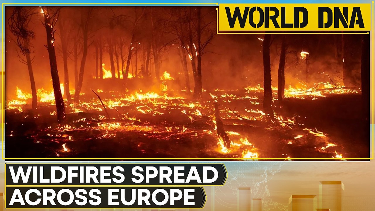 Europe Heatwave: Extreme Heat Worsens Wildfire Risk; Emergency Services Kept on High Alert | DNA