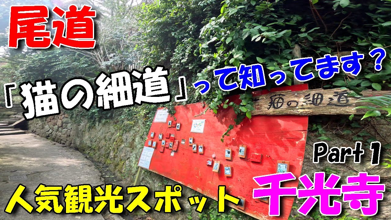 【尾道観光】 千光寺 Part１／ 猫の細道って知ってます？