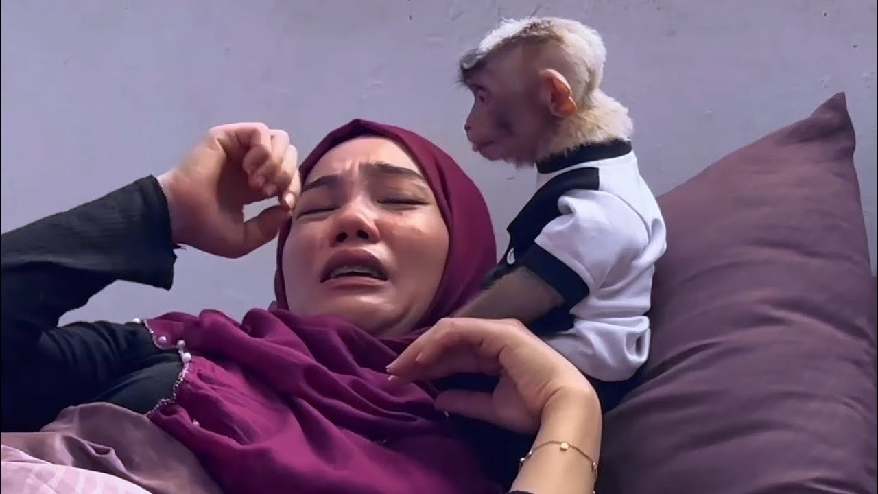 Oh No! Mom was shocked when Alpha approached her on the bed with soaking wet clothes
