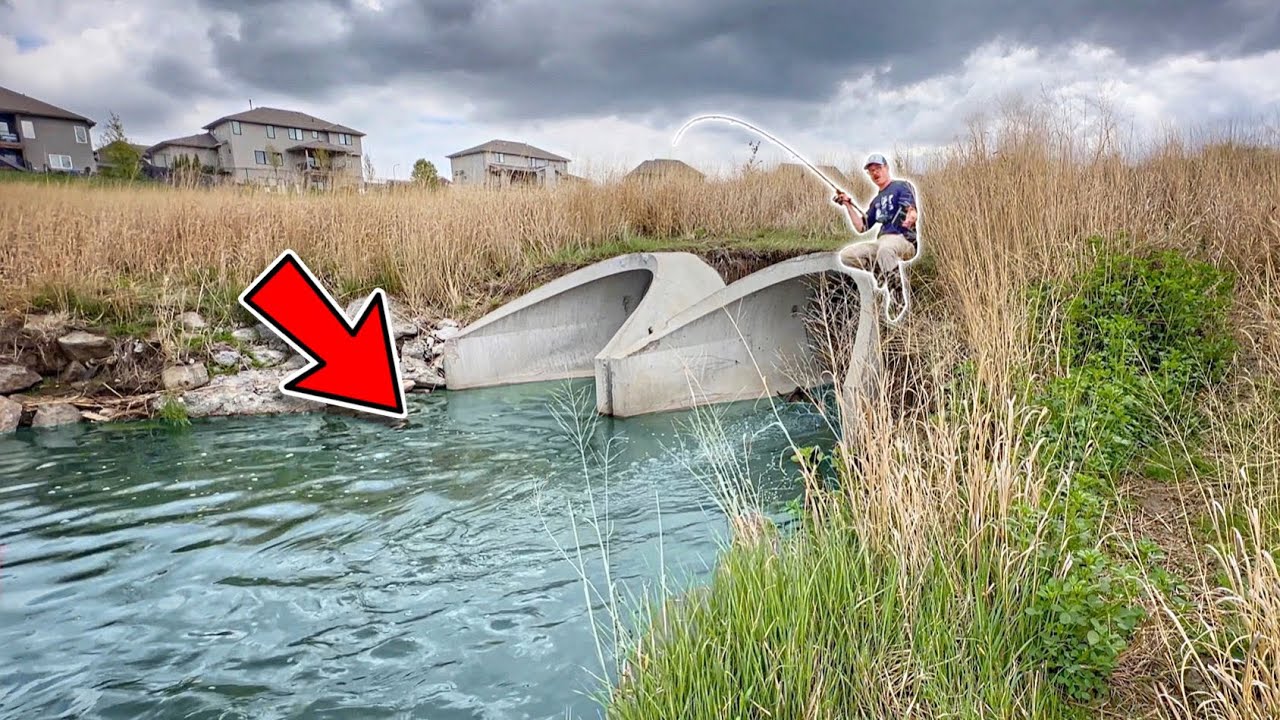I Found New URBAN TUNNELS Loaded With Fish!!! (INSANE)