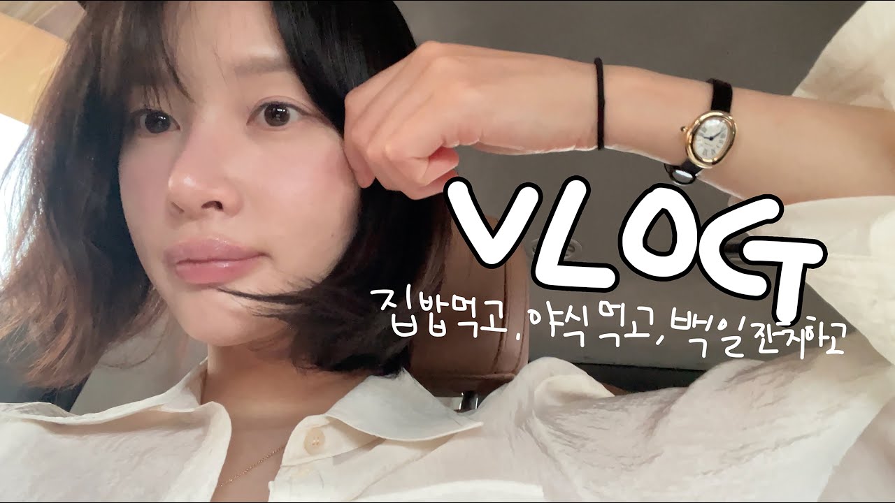 [vlog]야식의 축복이 끝이없네😇(백일잔치/갈또치킨..ㅋ/소주 갈아재/집밥이 맛있긴해/똥집튀김/미역국 치킨너겟 미니돈까스/역전할맥/코스트코 실패…😇/페리카나/시바견 택이)