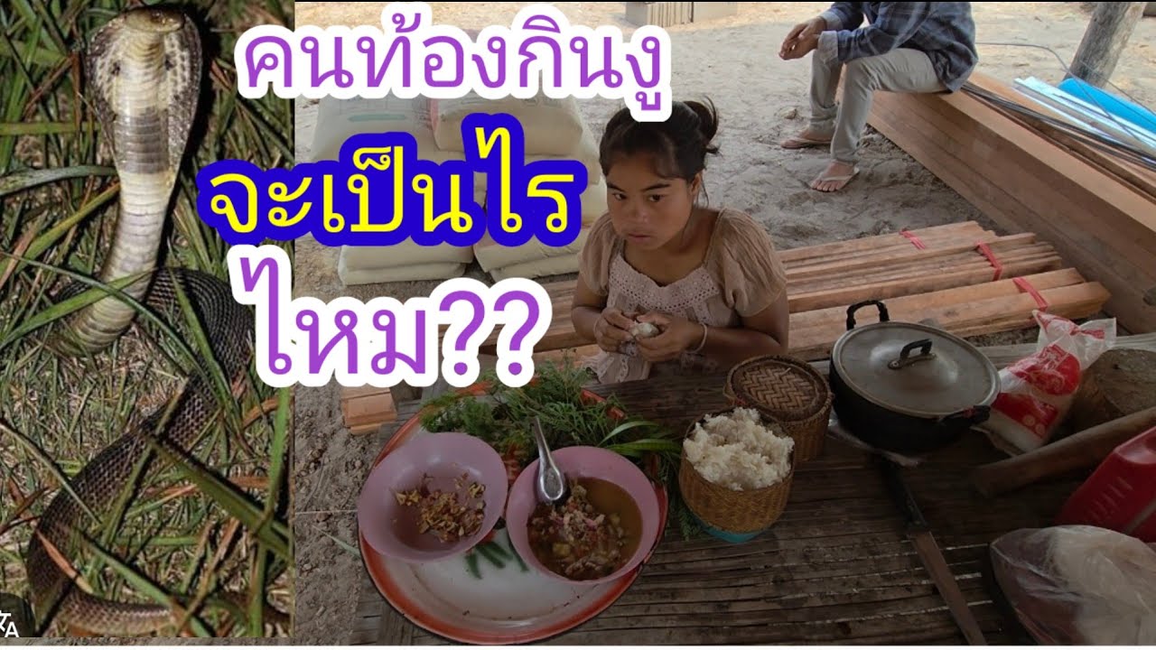 FCว่ายังใงคนท้องกินงูจะเป็นอะไรวัดแทกที่จะทำครัวน้องเติ้น🙏🇱🇦❤️🇹🇭🇺🇲#บ่าวลาวพาเพลิน#25/2/26