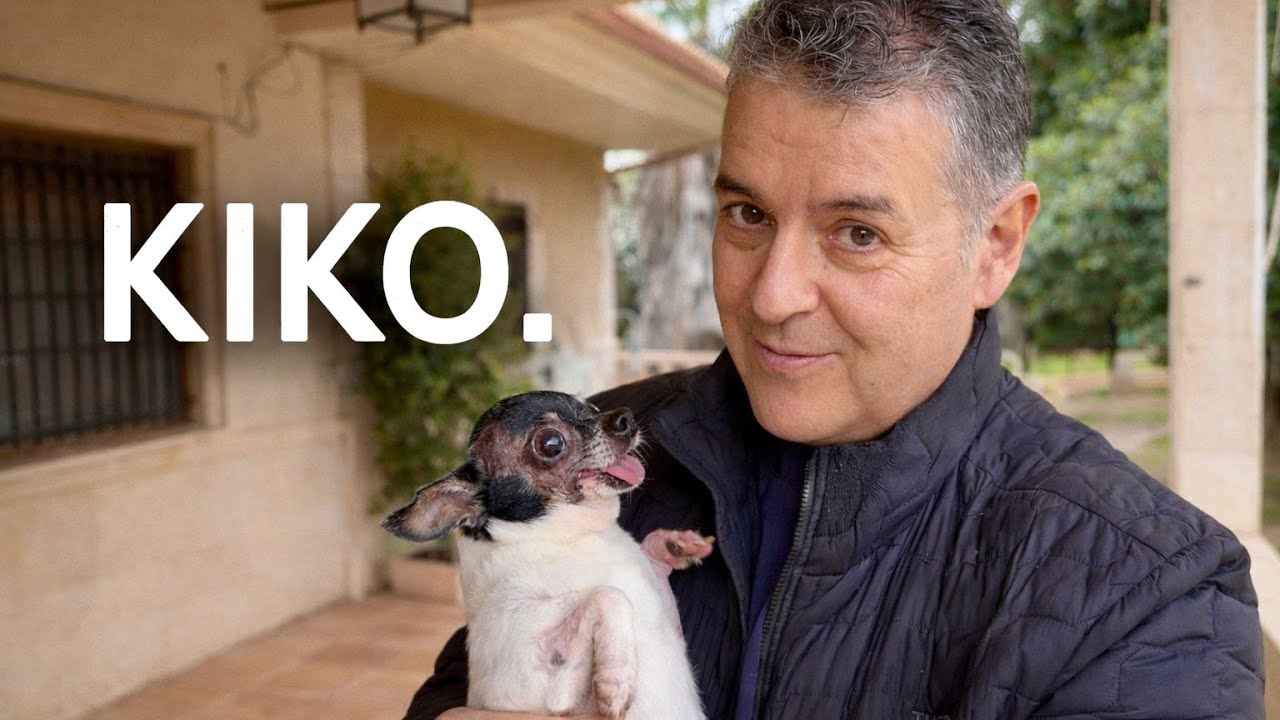 Кико всё ещё здесь.