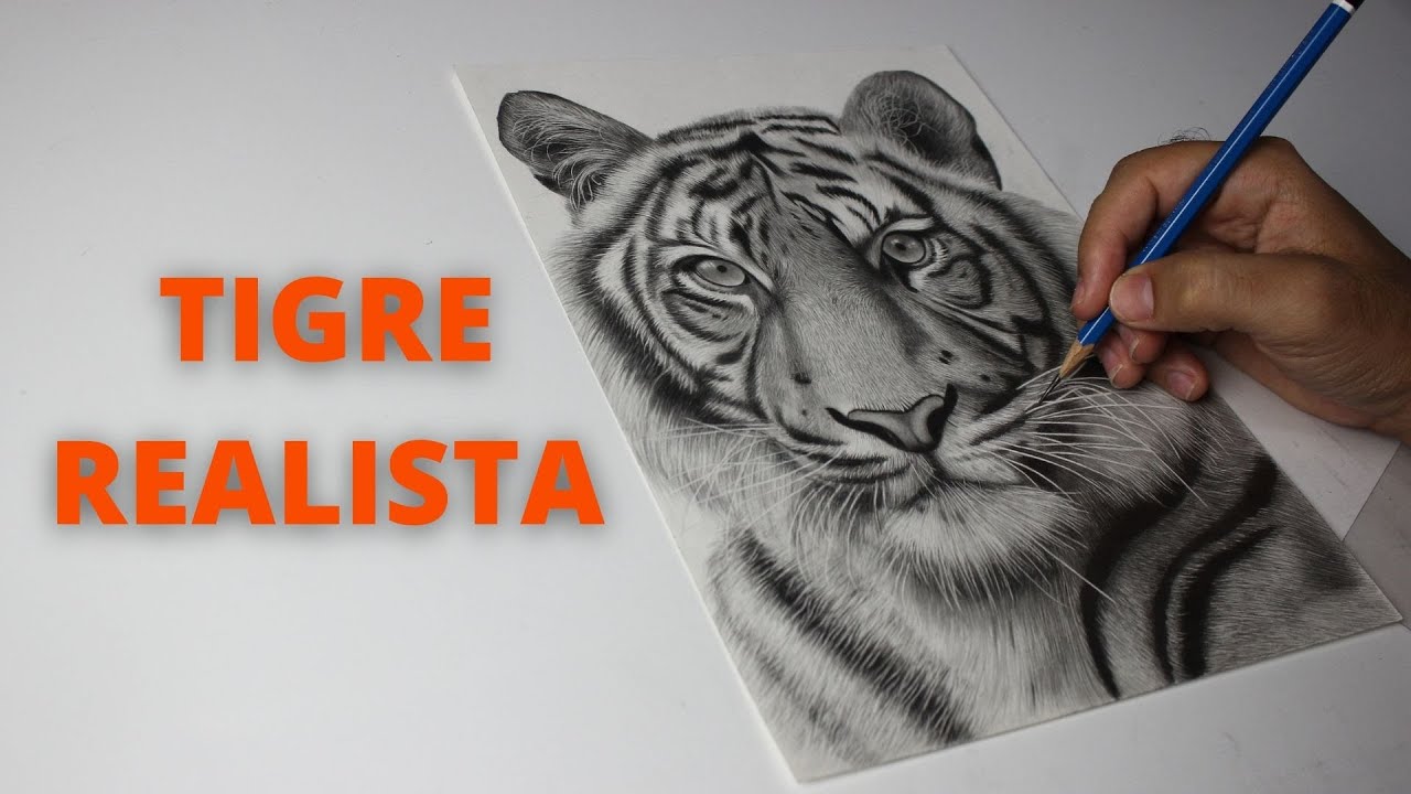 Como Desenhar um Tigre Realista